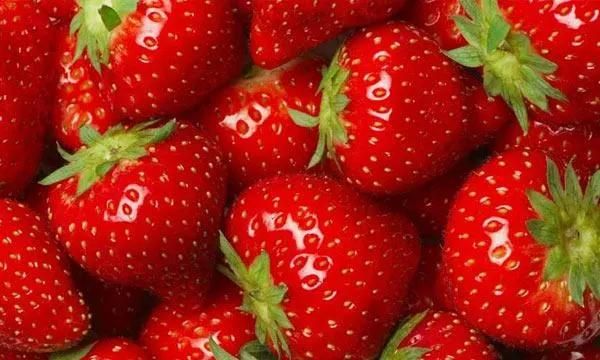 Water Jet Okra Bubble Washing Machinery Strawberry Bubble Washing Machine