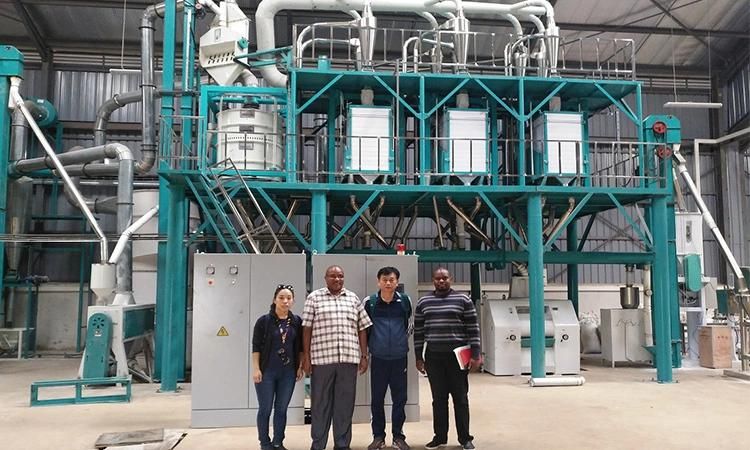 Maize Flour Milling Machine Running in Kenya Zambia Tanzania with Local Office