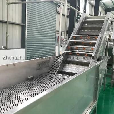 Commercial Automatic Bubble Cleaning Machine Fruit Vegetable Washing Machine