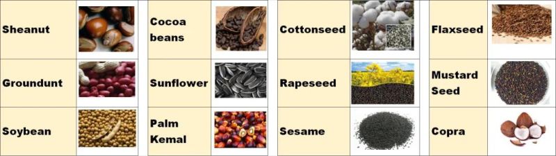Farmer Market Using Oil Expeller