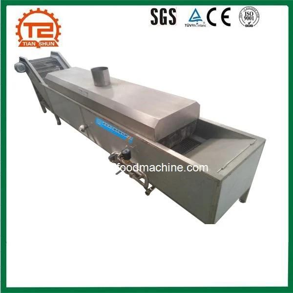 Vegetable Processing Equipment Auto Steam Belt Blancher Cauliflower Steam Blanching Machine
