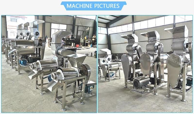 Cold Press Juice Extractor Machine Used for Orange Sugarcane Lemon Apple Fruit Juice