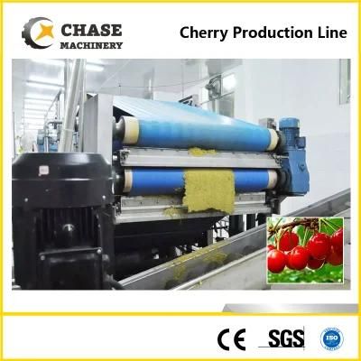 Apple/ Coconut Press Juice/ Coconut Milk Processing Plant