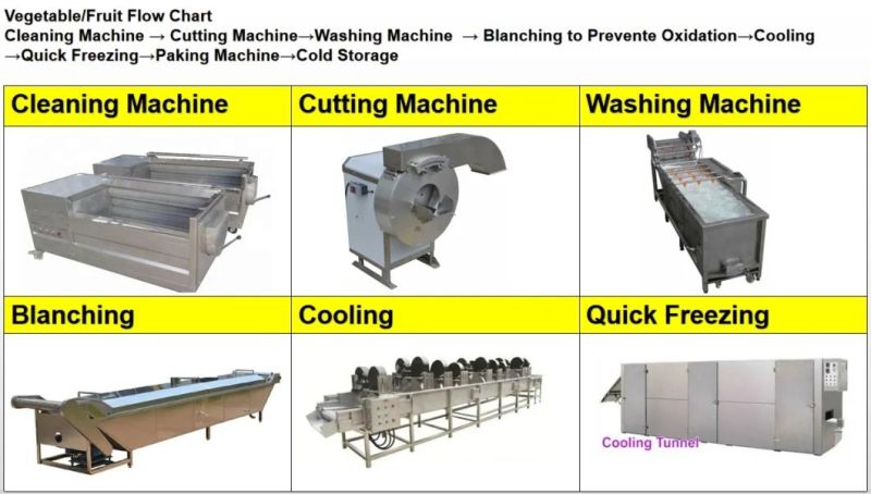 Fully Automatic Frozen Vegetables Making Plant You Wangted