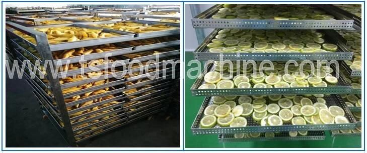 500kg Vegetable and Fruit Dryer Tomato Drying Machine