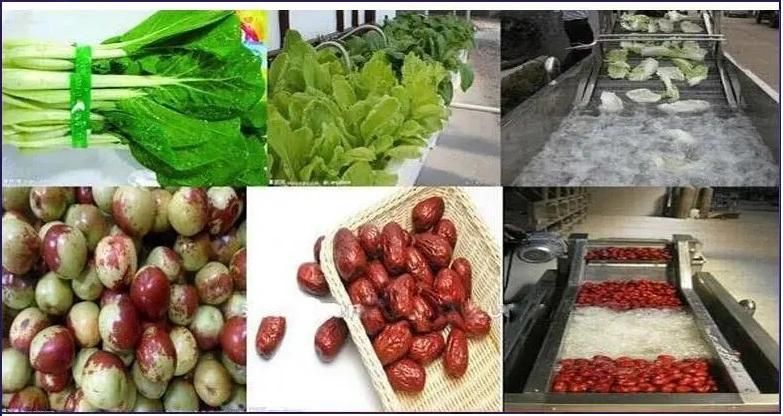 High Output 800kg/H Fruit Vegetable Washing Cleaning Machinery