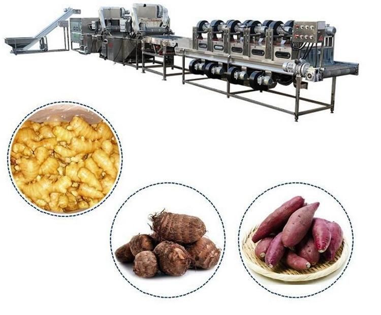 Low Cost Air Bubble Fruit Vegetable Washing Machine