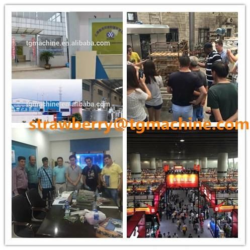 Automatic Bubble Gum Machine Manufacturer (DBG150)