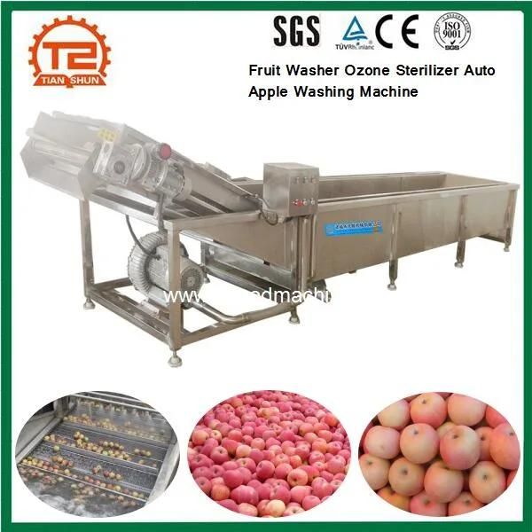 Fruit Washer Ozone Sterilizer Auto Apple Washing Machine