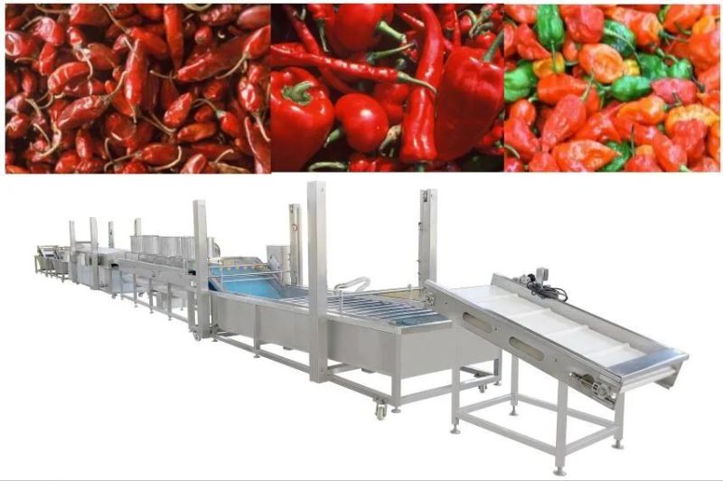 Vegetable Washer Naga King Chilli Washing Machine