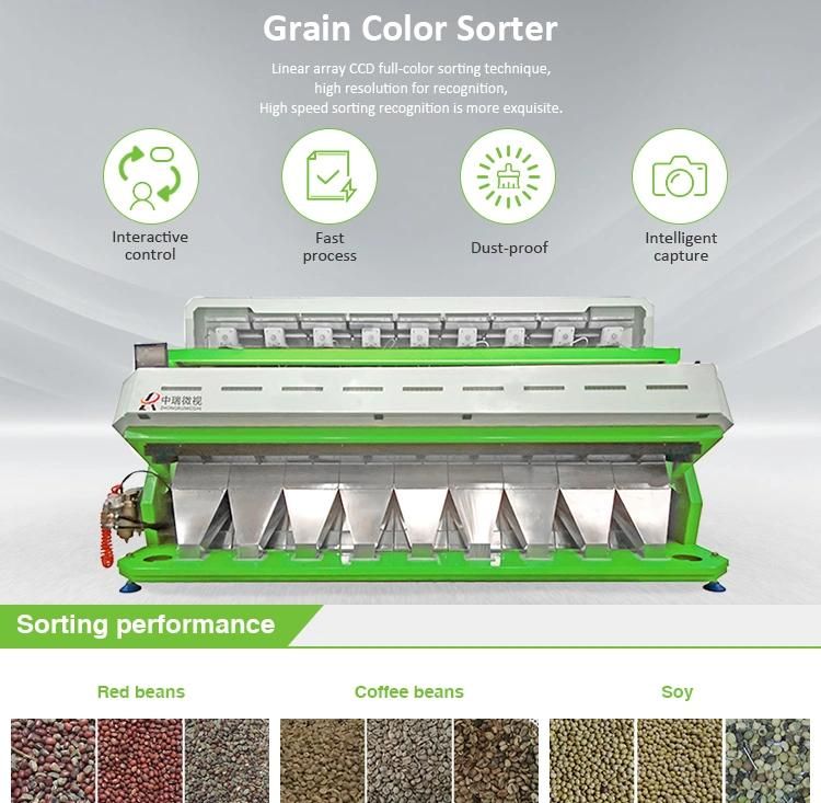 Soybean Color Sorter Sorting Machine