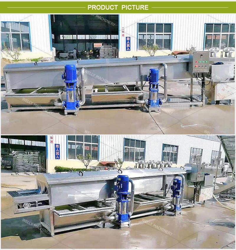 Low Energy Consumption Lotus Root Carrot Dragon Fruit Washing Machine