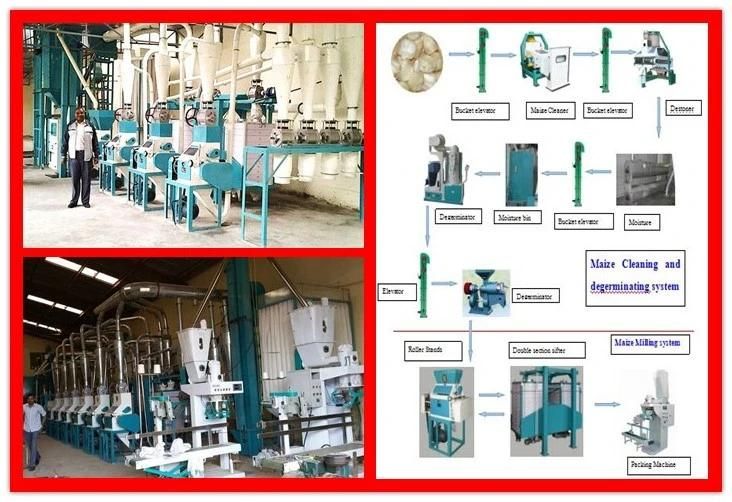 Complete Set Maize Grits Processing Machinery for Africa