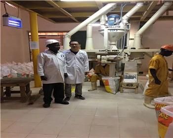 80t Maize Flour Milling Plant Maize Flour Mill