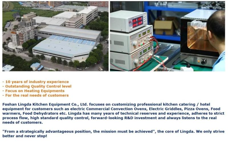 Commercial Use Single Deck Countertop Pizza Bakery Coffee Shop Baking Machine Equipment Cookies Biscuit Durable Stainless Steel Housing
