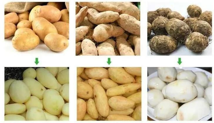 Commercial Food Processor Machine Electric Stainless Steel Potato Root Vegetables Peeler