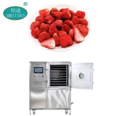 High Quality Freeze Dryer Fruits Machinedry Strawberry Vacuum Lyophilizer