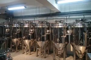 100L Mini Fermentation Tanks for Home Brewhouse or Brewing Test Equipment