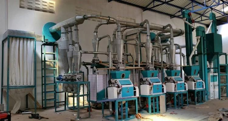 Maize Flour Milling Machine Running in Kenya Zambia Tanzania with Local Office