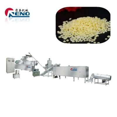 Professional Bread Crumbs Making Plant