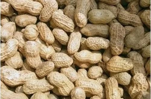 Conveyor Frying Machine Peanut Autolift Continuous Fryer