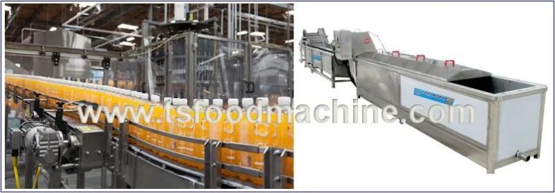 Fruit Juice and Bottle Pasteurization Machine for Sale
