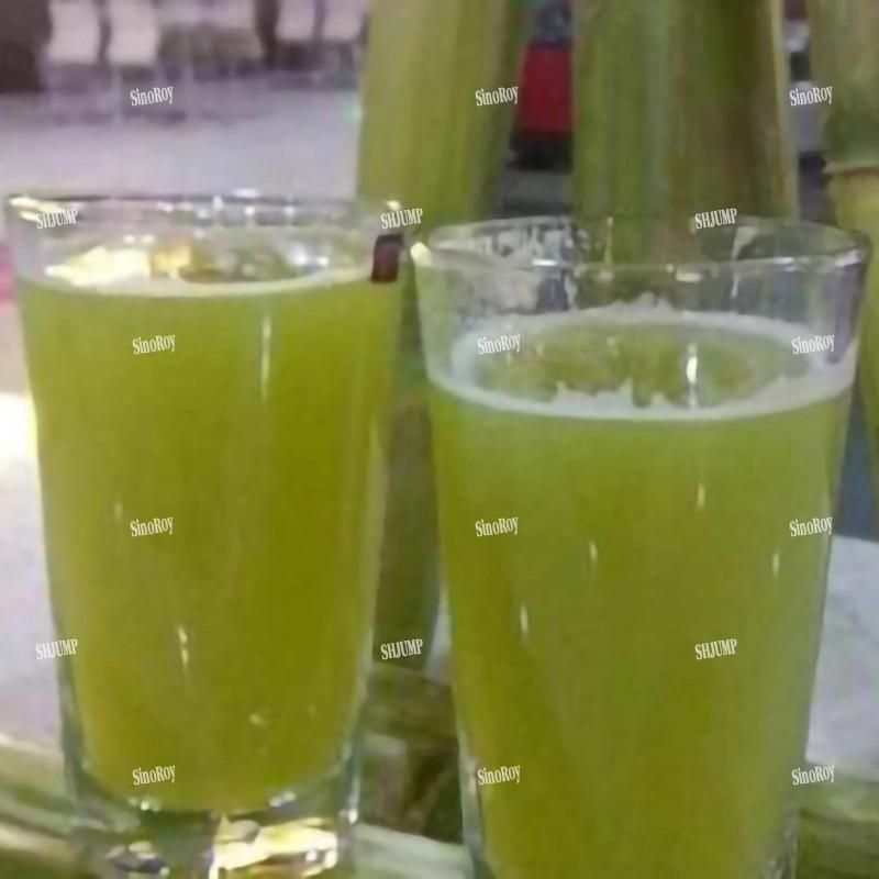 5000bottle Per Hour Sugarcane Syrup Paste Bottling Line