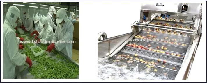 Automatic Air Bubble Cleaning Fruit and Vegetable Washing Machine Bubble Washer