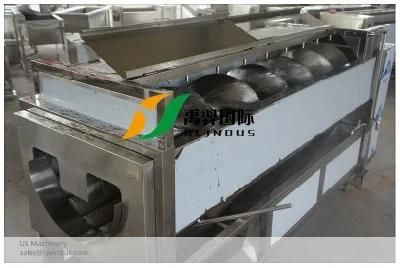 Ginger Cleaning/Washing and Peeling Machine