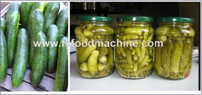 Automatic Cucumber Can Pasteurization Machine and Fruit Canned Pasteurizer