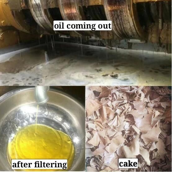 Sunflower Oil Press Machine with Oil Filter From Guangxin Brand