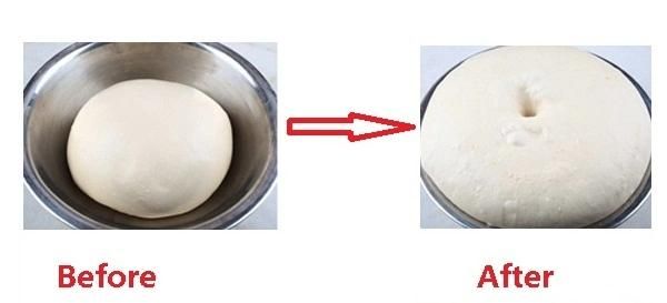 Double Doors Dough Proofer 64 Trays Baked Bread Proofer Bakery Machines Retarder Proofer