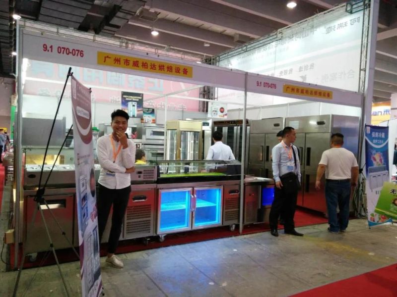 6 Mould Ice Lolly Popsicle Machine with Ce