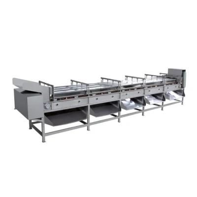Factory Price Food/Fruit Processing and Sorting Machine
