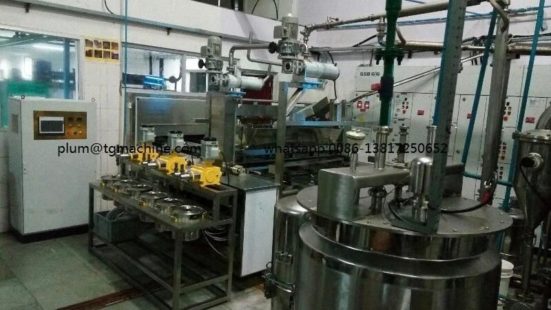 Gd600q-S Automatic Gummy/Jelly Candy Depositing Linefull Automatic Jelly Candy Depositing Line