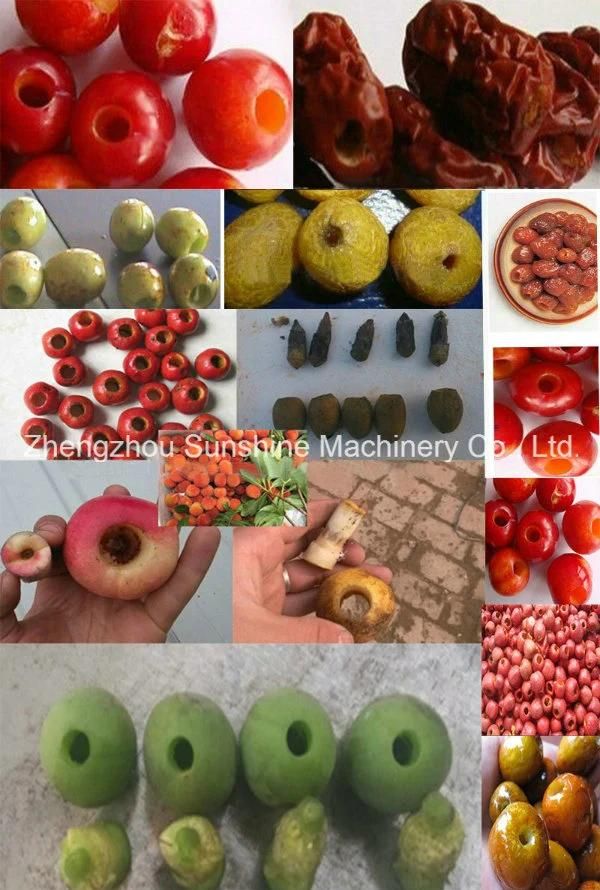 Stainless Steel Cherry Olive Dates Pitting Machine Electric Cherry Pitter