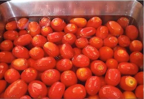Food Processor Tomato Hot Water Blanching Machine