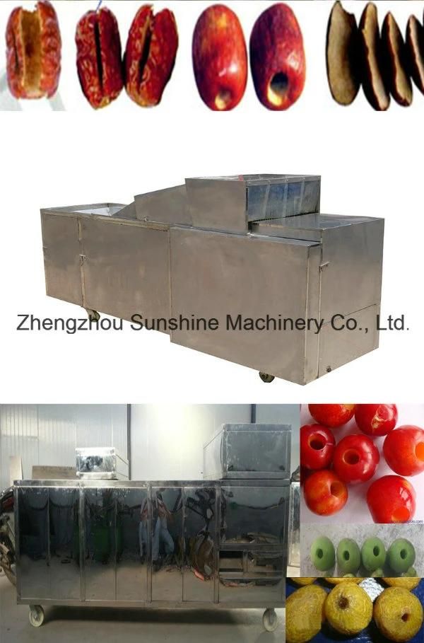 Top Quality Pitter Olives Cherry Pitter Machine Olive Pitting Machine