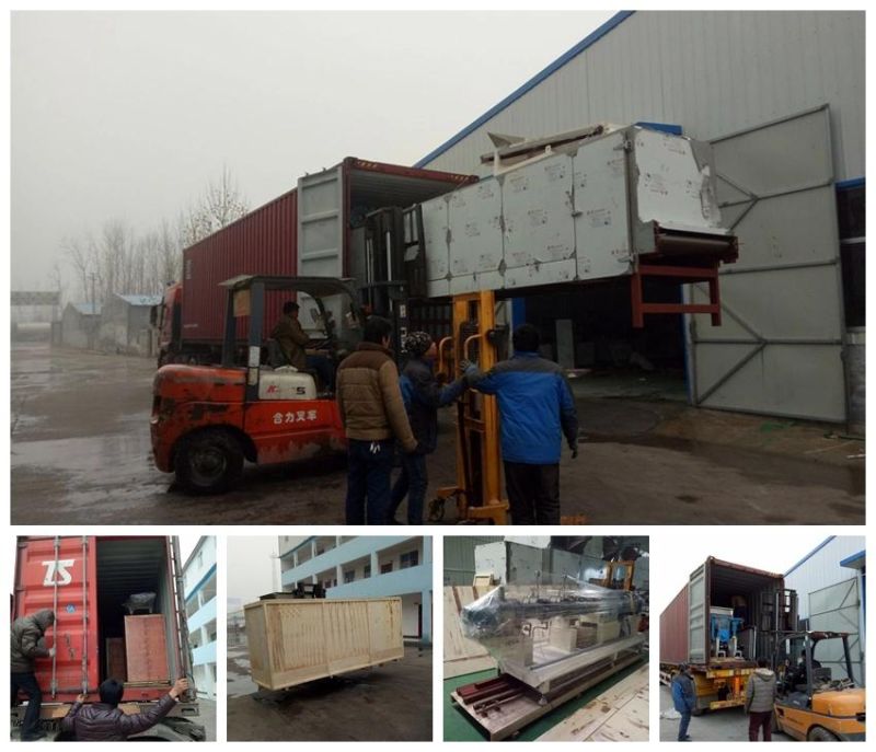 Stainless Steel Floating Fish Feed Extruder Pet and Fish Feed Equipment Floating Catfish Food Extruder