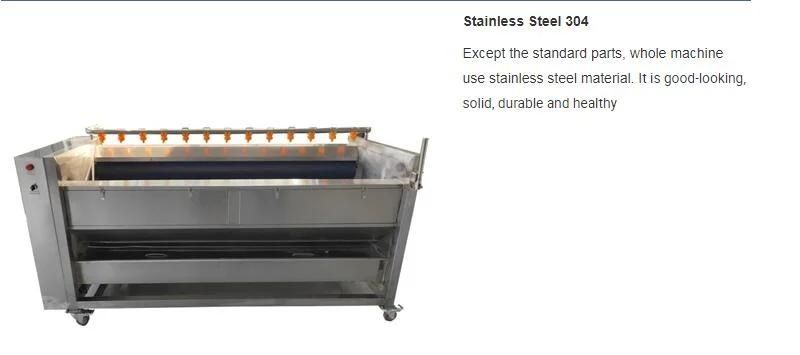 Industrial Small Potato Brush Washing and Peeling Machine