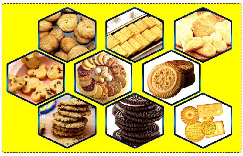 Automatic Bear Biscuit Production Line Chocolate Sandwiching Hard Biscuit Machine Best Price High Quality