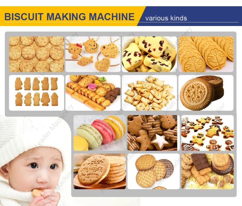 Baby Biscuit Production Line Chocolate Biscuit Manufacturing Plant Small Scale Biscuit Machine