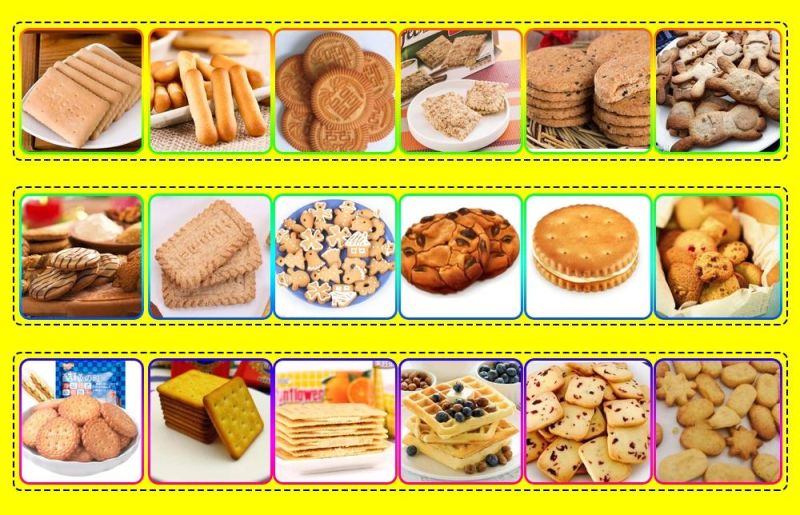 Sugar-Free Biscuit Making Machine Price Vacuum Forming Machine with Ce