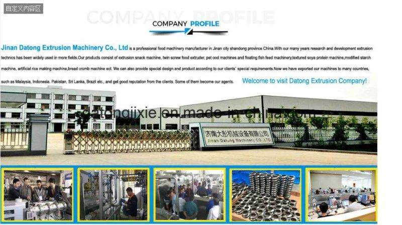 Automatic Vegetable Nuggets Protein Processing Line