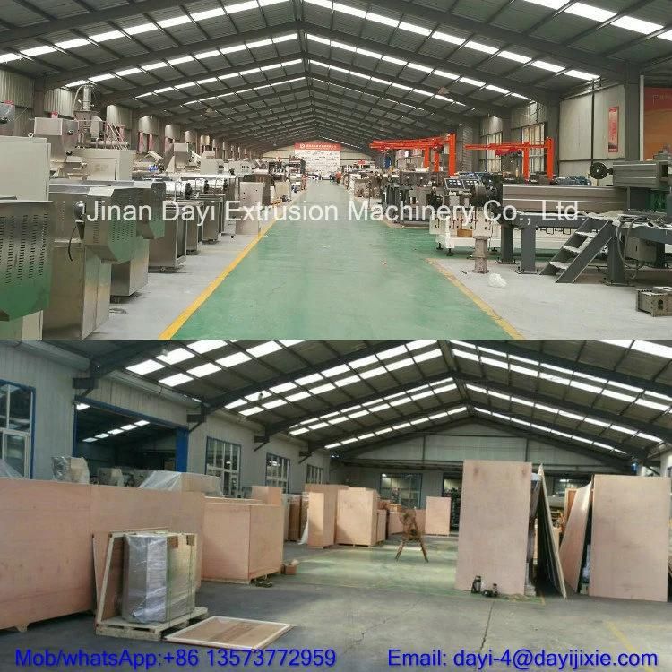 High Quality 3D Papad Fryum Pani Poori Snack Pellet Chips Making Machine