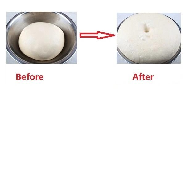 Bakery Dough Proofer Room-2 Doors
