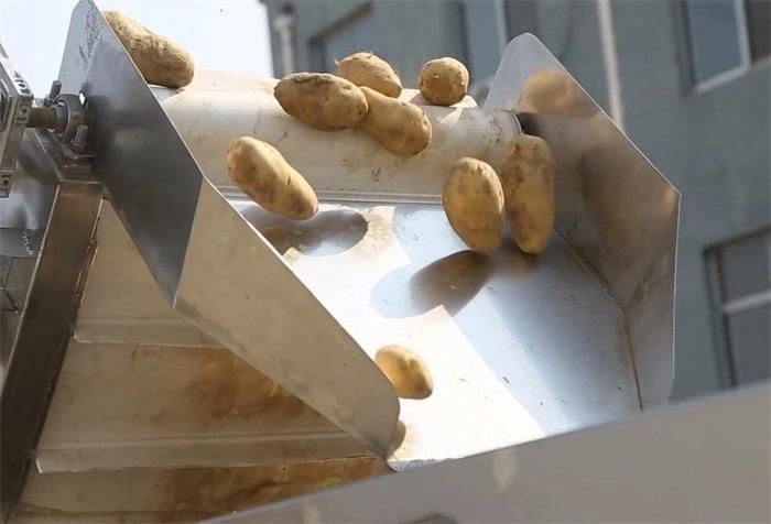 Professional Manufacturer Potato Chips Making Equipment French Fries Machine Price