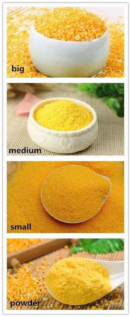 China Famous Maize Grinder / Corn Flour Mill Machine