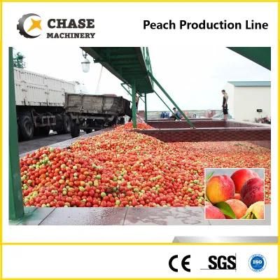 Clear Pear Juice Cloudy Juice Production Processing Making Machine