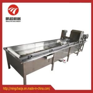 Air Bubble Type Vegetable and Fruit Washing Machine for Sale